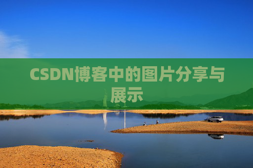 CSDN博客中的图片分享与展示